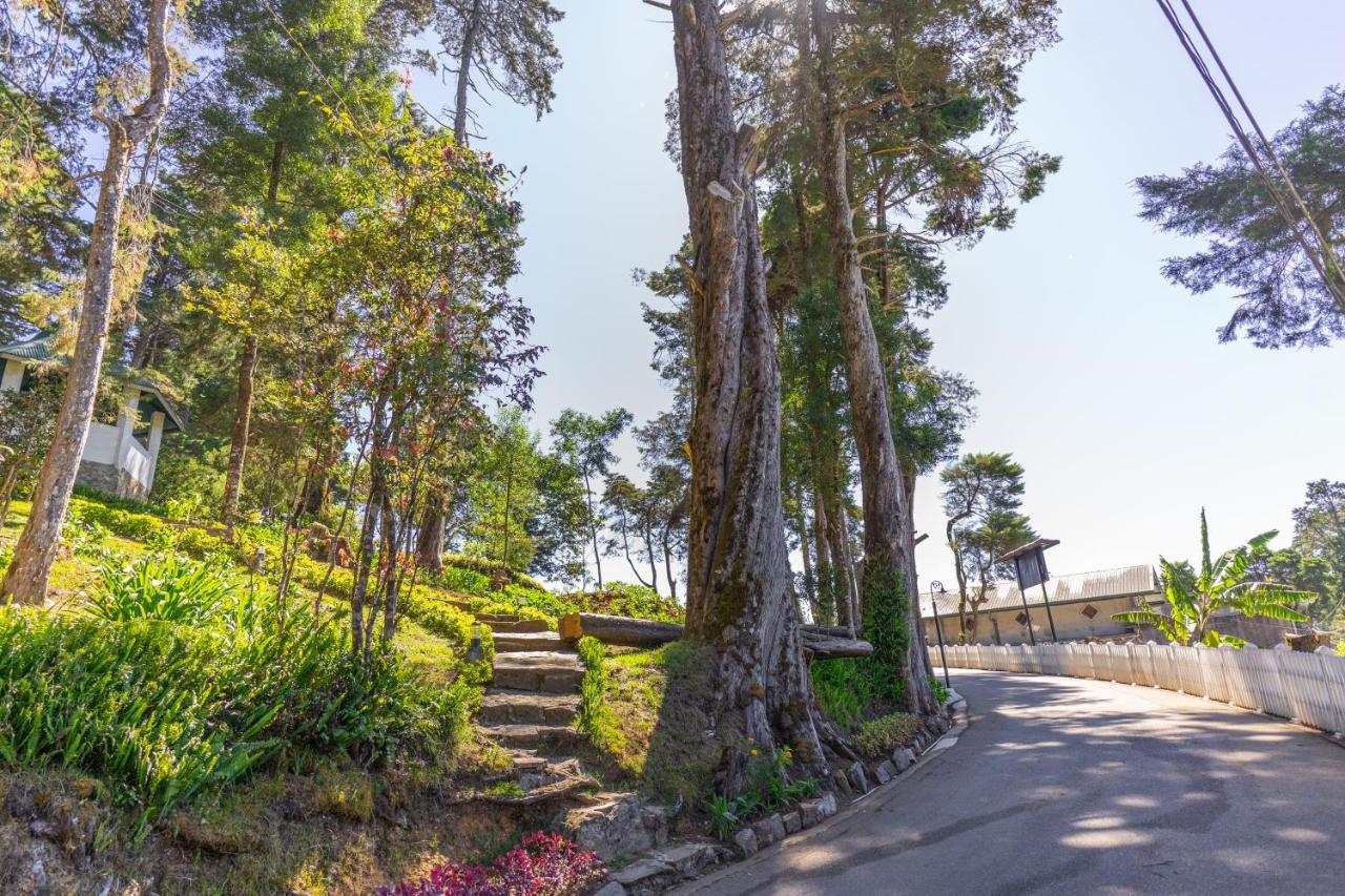 Mirage Kings Cottage Nuwara Eliya Exterior foto